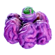 Subnautica 2 Acid Raion