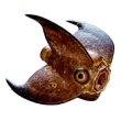 Subnautica 2 Cooked Geordie
