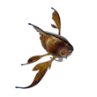 Subnautica 2 Cooked Pneuma