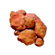 Subnautica 2 Coral Shavings