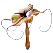 Subnautica 2 Mimic Pylon