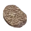 Subnautica 2 Algae Block