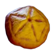 Subnautica 2 Pent