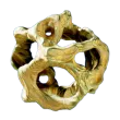 Subnautica 2 Gold