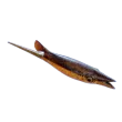 Subnautica 2 Cooked Hoverthorn