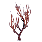 Subnautica 2 Branching Coral