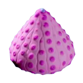 Subnautica 2 Aeroshell Sponge