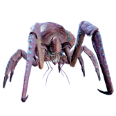 Subnautica 2 Coral Crab