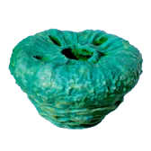 Subnautica 2 Donut, No Worms