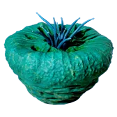 Subnautica 2 Donut of Worms