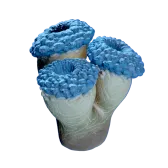 Subnautica 2 False Fission Drum