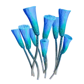 Subnautica 2 Flagon Spraion
