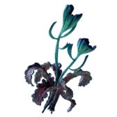 Subnautica 2 Freesia Flower