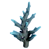 Subnautica 2 Hecaton Tunic