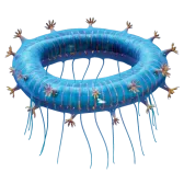 Subnautica 2 Jelly Ring