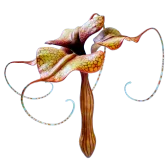 Subnautica 2 Mimic Pylon