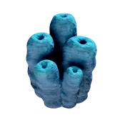 Subnautica 2 Poison Tube Cluster