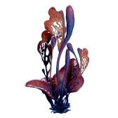 Subnautica 2 Wort Wort