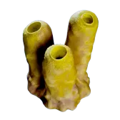 Subnautica 2 Jack Sponge