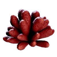Subnautica 2 Aster Scyllid