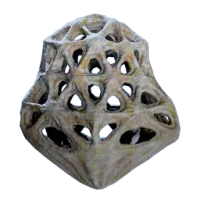 Subnautica 2 Cage Gorgon