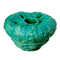 Subnautica 2 Donut, No Worms