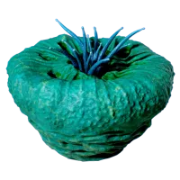 Subnautica 2 Donut of Worms
