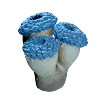 Subnautica 2 False Fission Drum