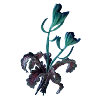 Subnautica 2 Freesia Flower