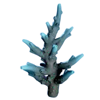 Subnautica 2 Hecaton Tunic