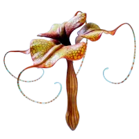 Subnautica 2 Mimic Pylon
