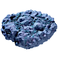 Subnautica 2 Pebbled Sporal