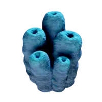 Subnautica 2 Toxic Sponge