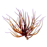 Subnautica 2 Whip Gorgon