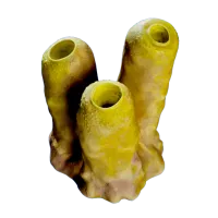 Subnautica 2 Jack Sponge