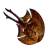 Cooked Bluemoon