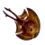 Cooked Halfmoon