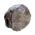 Fibrous Pulp