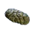 Crab Feces