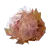 Salt