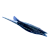 Black Hoverthorn