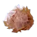 Obtain Salt