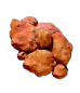 Subnautica 2 Coral Shavings