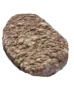 Subnautica 2 Algae Block