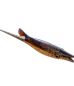 Subnautica 2 Cooked Black Hoverthorn