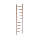 Subnautica 2 Ladder
