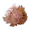 Salt