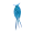 Cerathecan