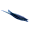 Black Hoverthorn